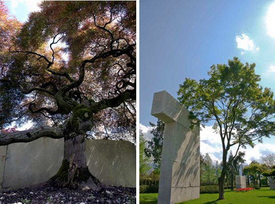 tree museum in switzerland