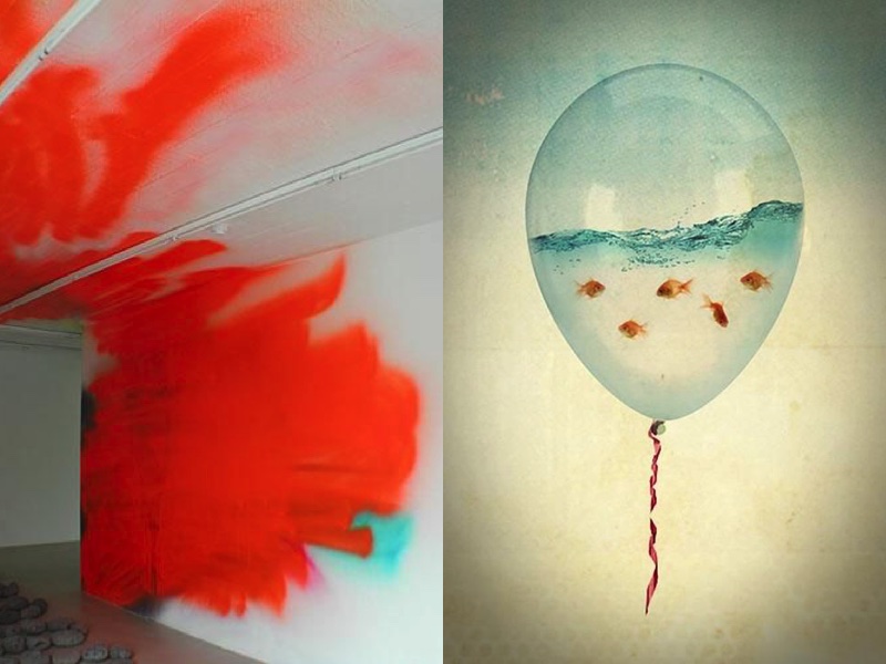 goldfish