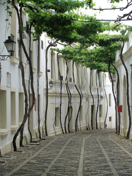 a lane in spain