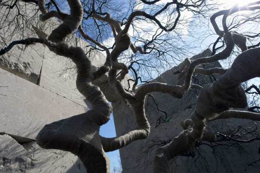 tree museum in switzerland