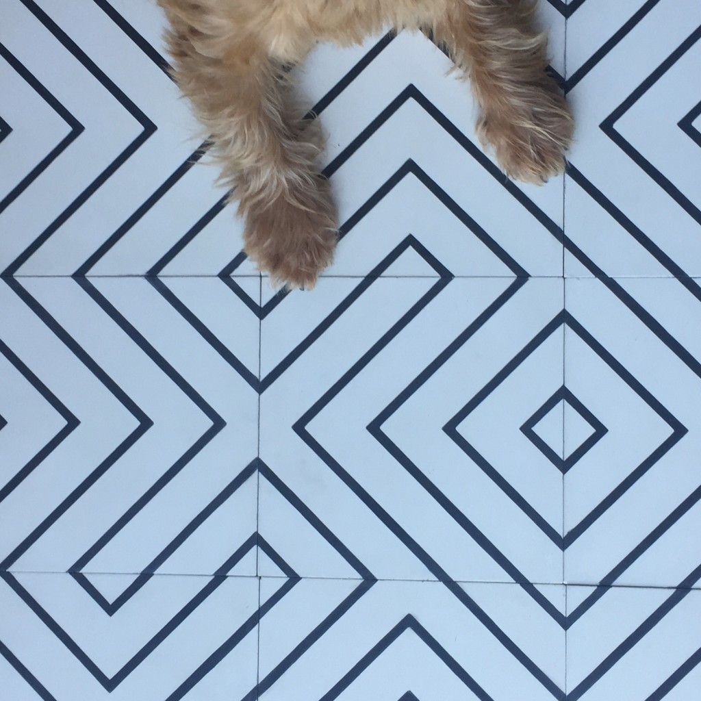 milo, zenith, black & white cement tile #floorcore